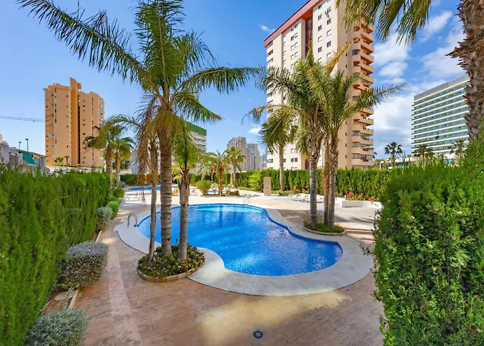 Of Joy Piscina Aparcamiento